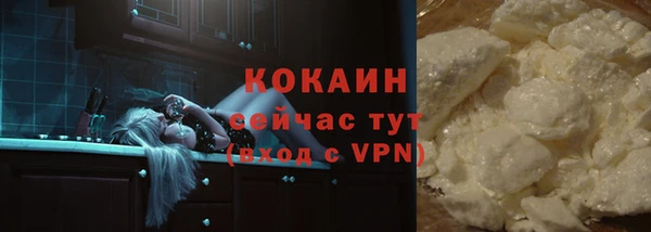 стафф Зеленокумск