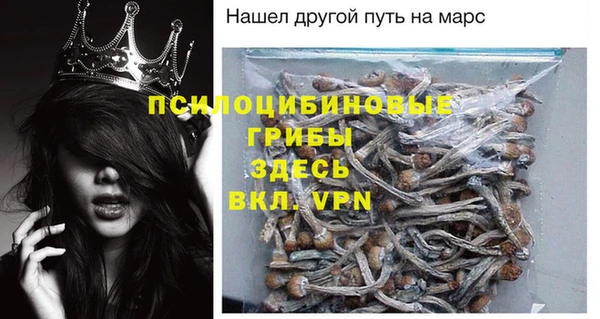 стафф Зеленокумск