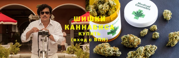 стафф Зеленокумск