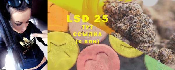 стафф Зеленокумск